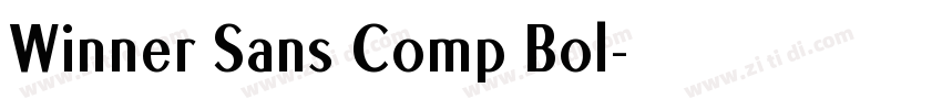 Winner Sans Comp Bol字体转换